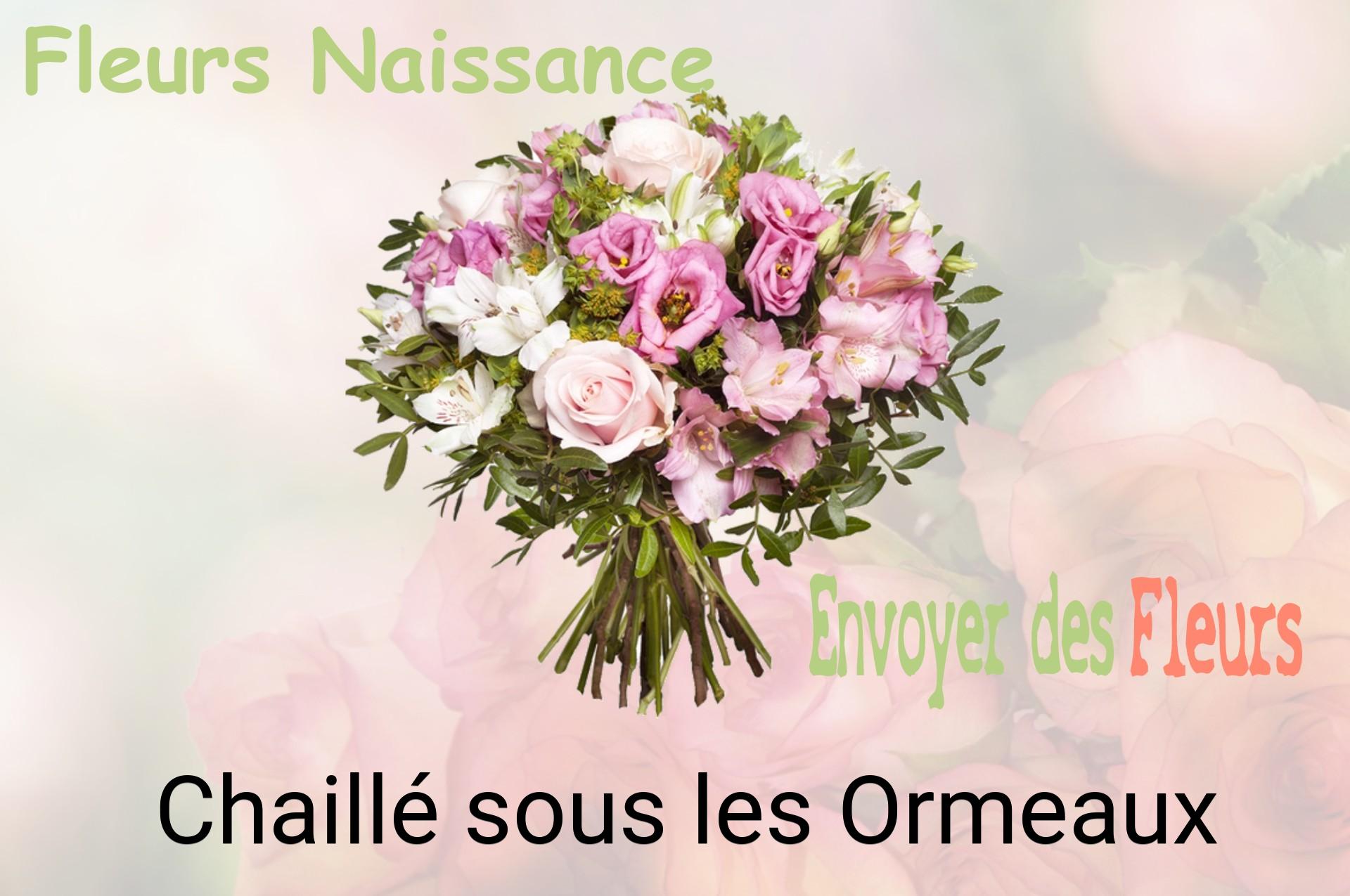 Bouquet de fleurs de naissance livré à Chaillé-sous-les-Ormeaux