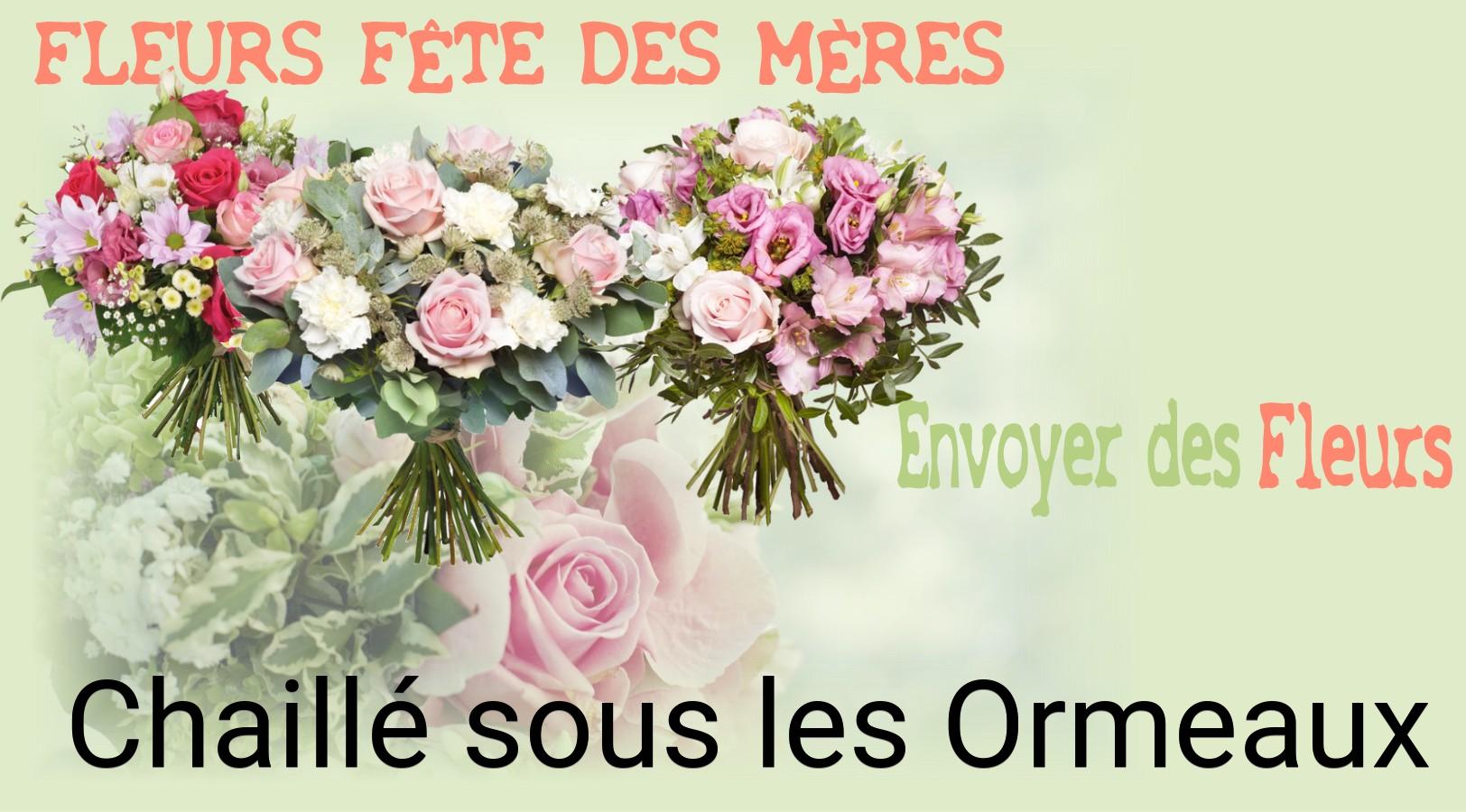 Bouquet de Fête des Mères livré à Chaillé-sous-les-Ormeaux